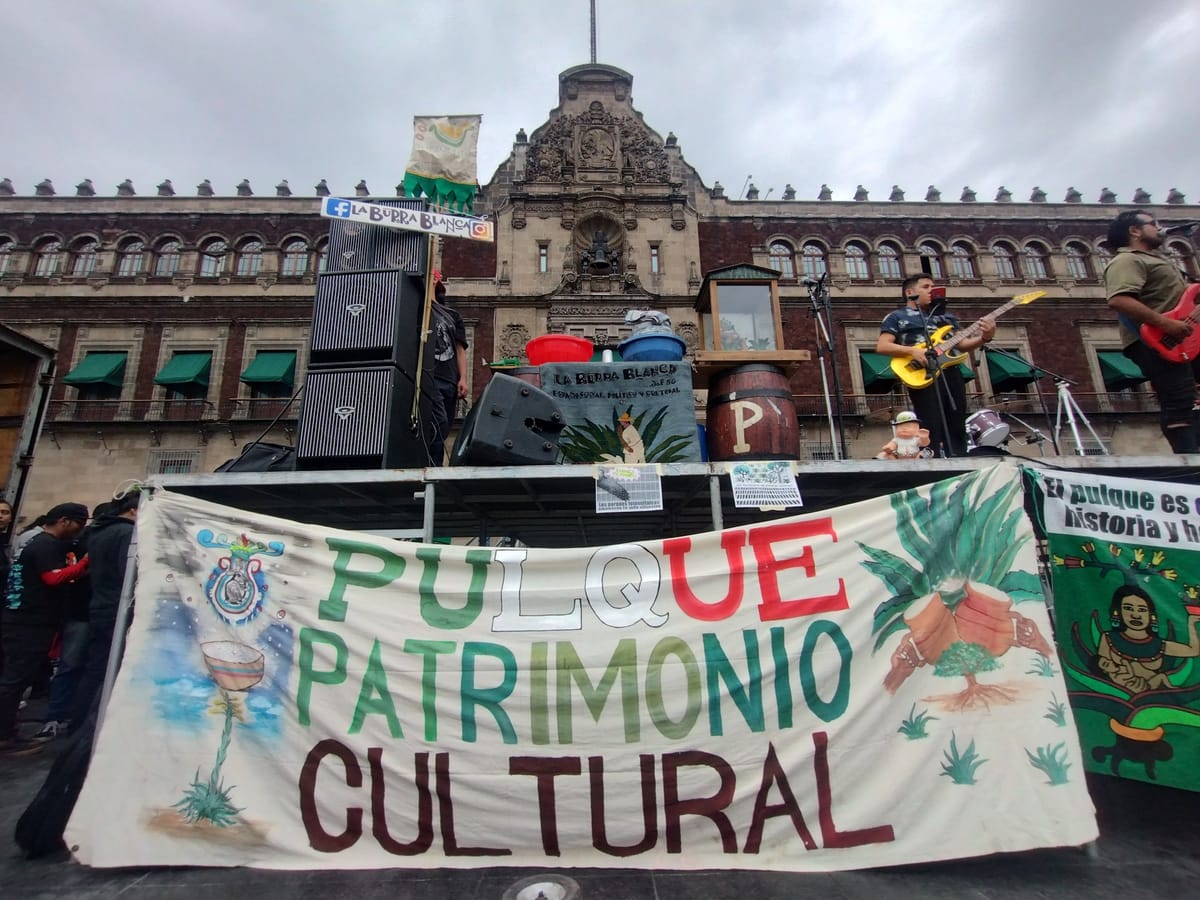 Pueblos originarios denuncian ecocidio en el altiplano debido a la instalación de parques fotovoltaicos Post feature image