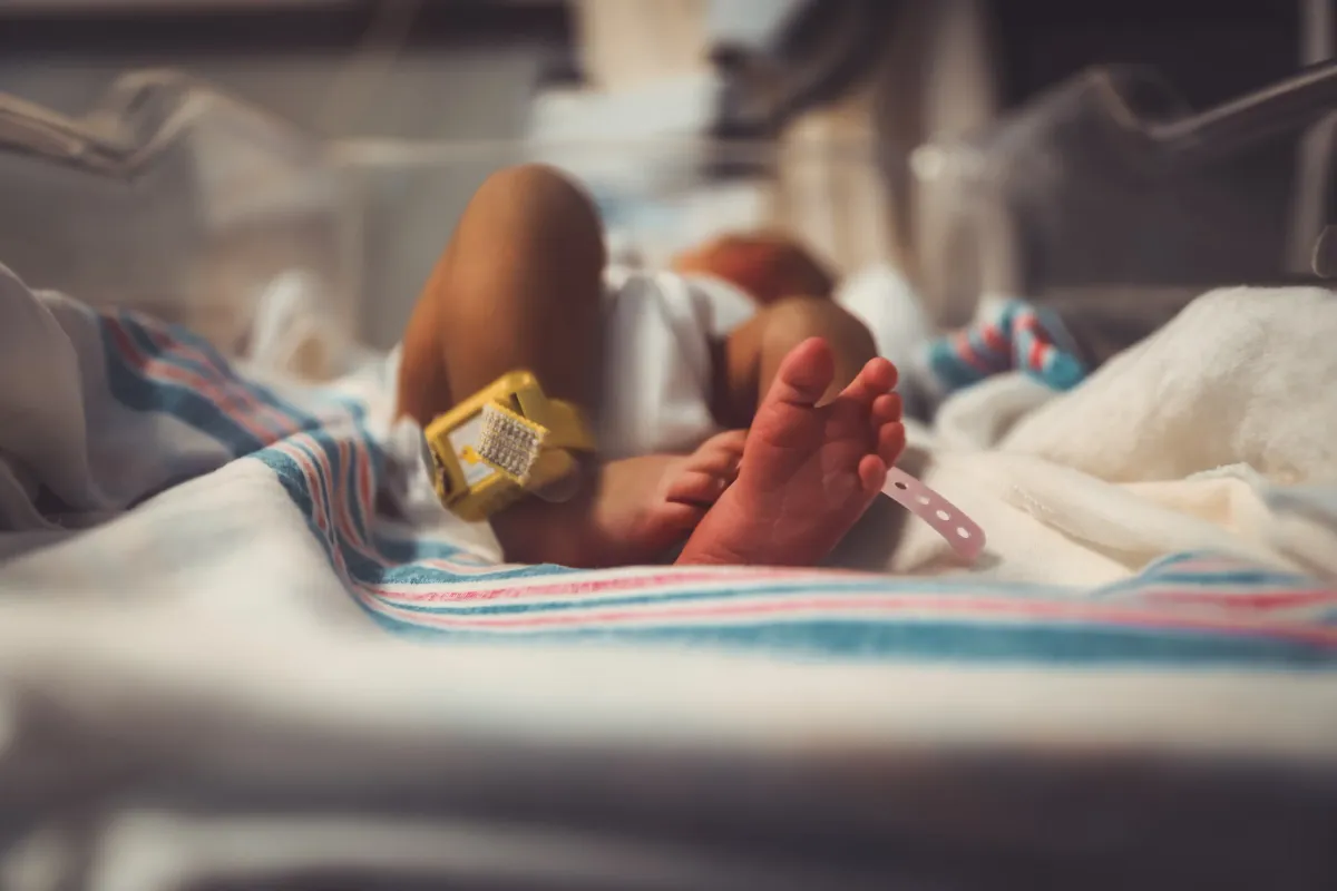 ADN de tres padres: esperanza para familias, debate para la ciencia Post feature image