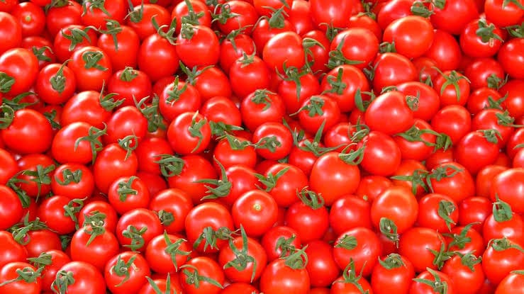 Arancel al jitomate afectará a productores de Hidalgo, advierten empresarios Post feature image