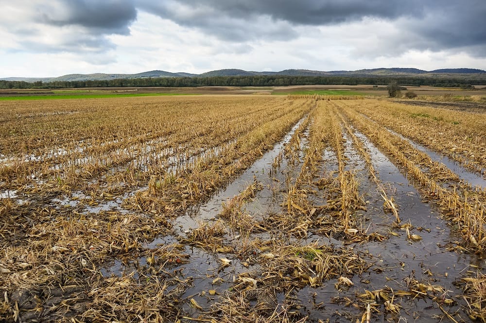 Hidalgo destina 120 millones de pesos para apoyar al sector agropecuario ante posibles afectaciones por las lluvias Post feature image