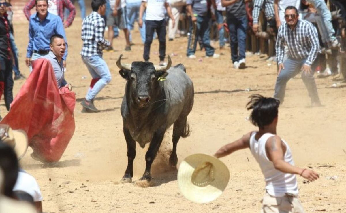 Lesiones, golpes y cornadas en la Pamplonada de Santiago Tulantepec Post feature image