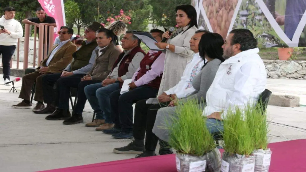 Pinos, fresnos y jacarandas: así se repoblarán las áreas verdes del estado Post feature image