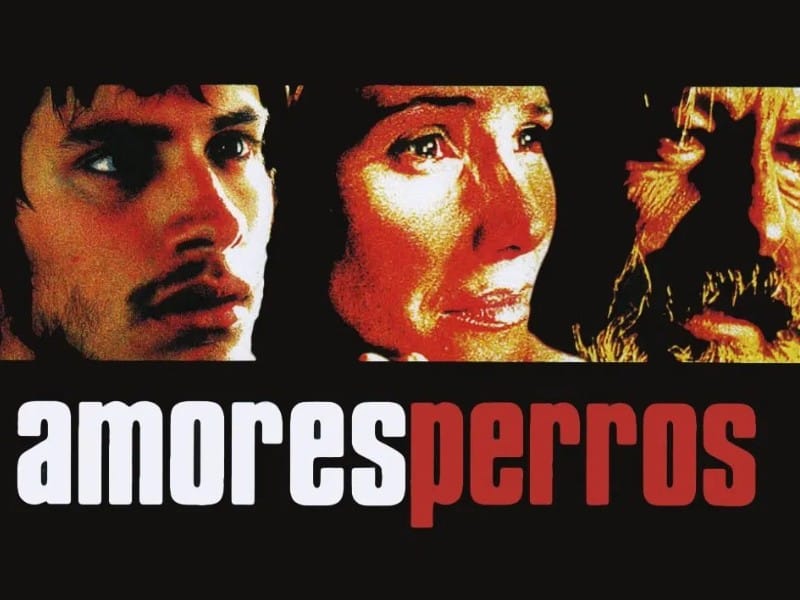 La obra de Iñarritu a Bellas Artes Post feature image
