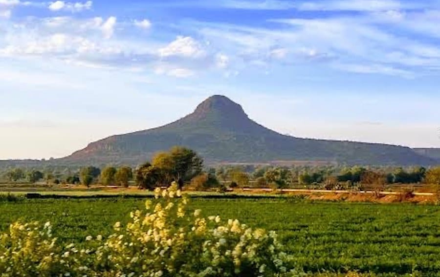 Cerro Xicuco se reforesta y avanza para convertirse en área natural protegida en Hidalgo Post feature image