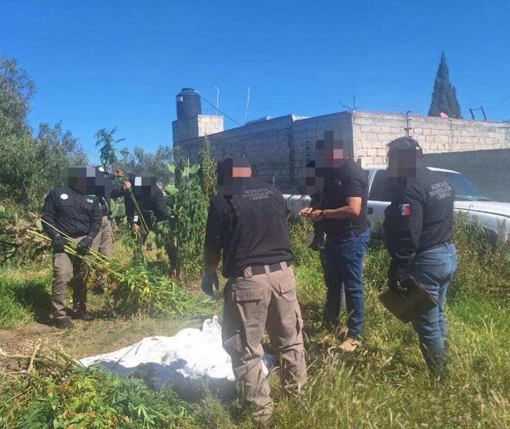 Cumplimenta FGR orden de cateo por delito contra la salud en Hidalgo Post feature image