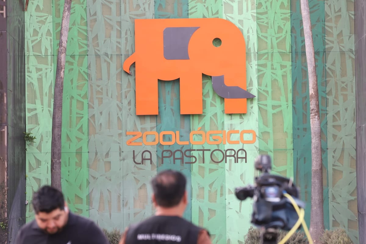 La Fundación Invictus niega realizar campañas recaudatorias por la osa Mina Post feature image
