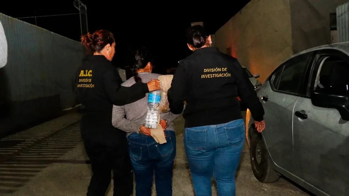 Detienen en Pachuca a una persona por presunta agresión a un perro Post feature image