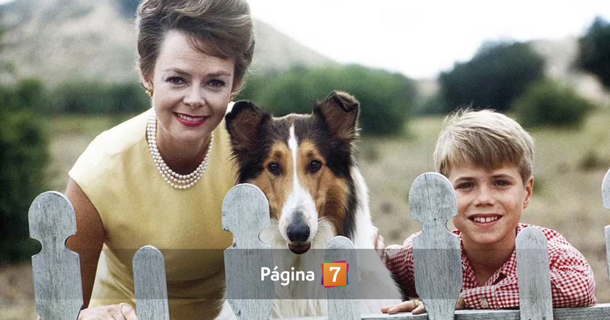 Fallece a los 100 años actriz de la serie Lassie Post feature image