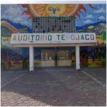 Padres de Familia se Manifiestan por Presunta Plaga de Insectos en Escuela de Tepojaco Post feature image