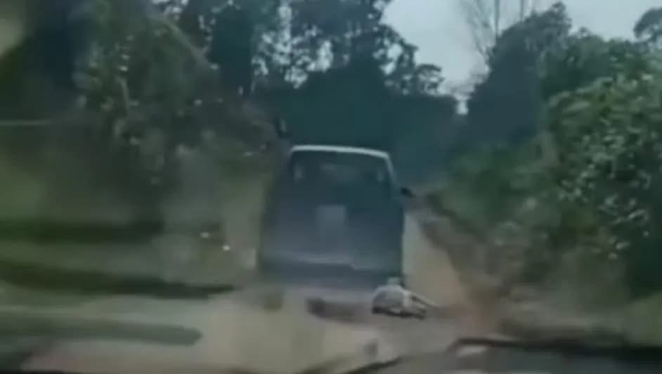 Video exhibe presunto acto de crueldad animal en Zacualtipán; autoridades guardan silencio Post feature image