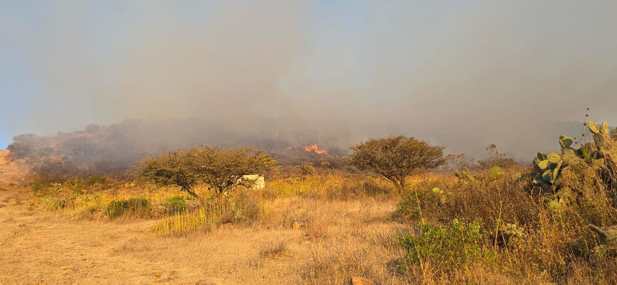 Se incrementan los incendios de pastizal y maleza Post feature image