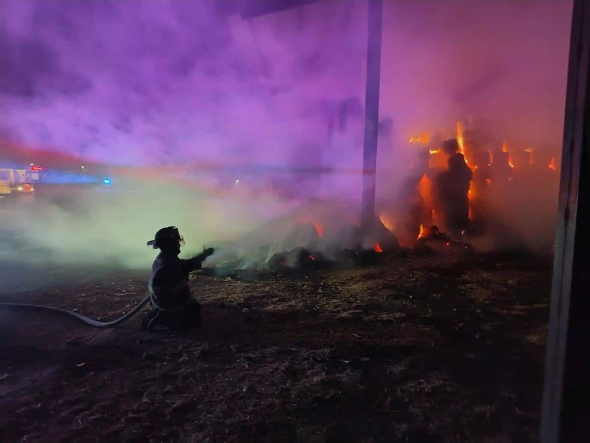 Incendio en Central de Abastos de Actopan consume más de 2 mil pacas de forraje Post feature image