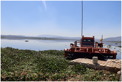Autoridades supervisan acciones de saneamiento en la presa Endhó Post feature image