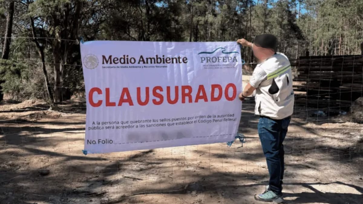 Profepa suspende actividades en terreno forestal de Zacualtipán por falta de permisos Post feature image