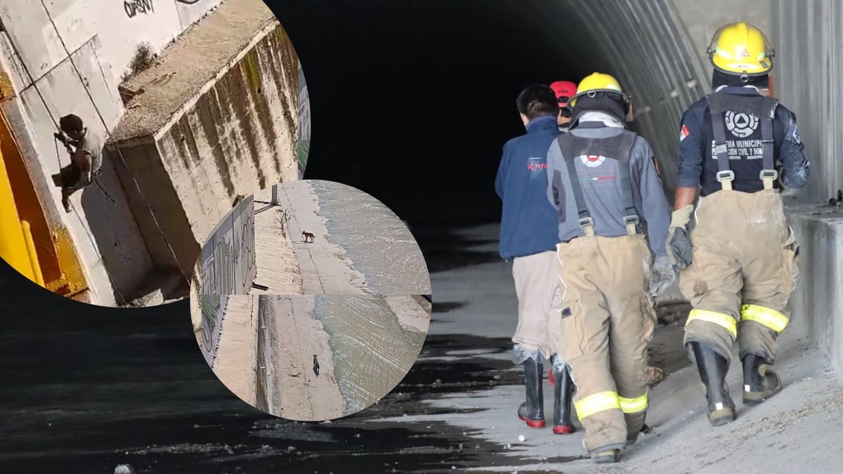 Intento ciudadano y operativo oficial buscan rescatar a perros en el Río de las Avenidas Post feature image