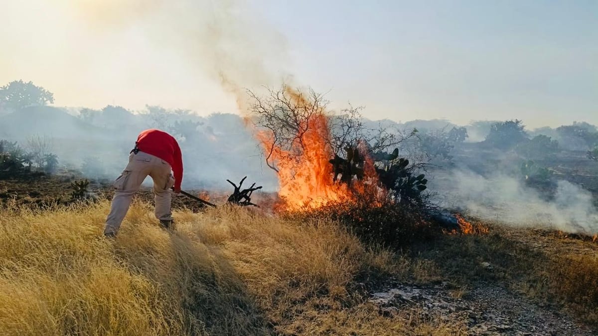 Fuerte incendio de pastizal , alertó PC Atitalaquia Post feature image
