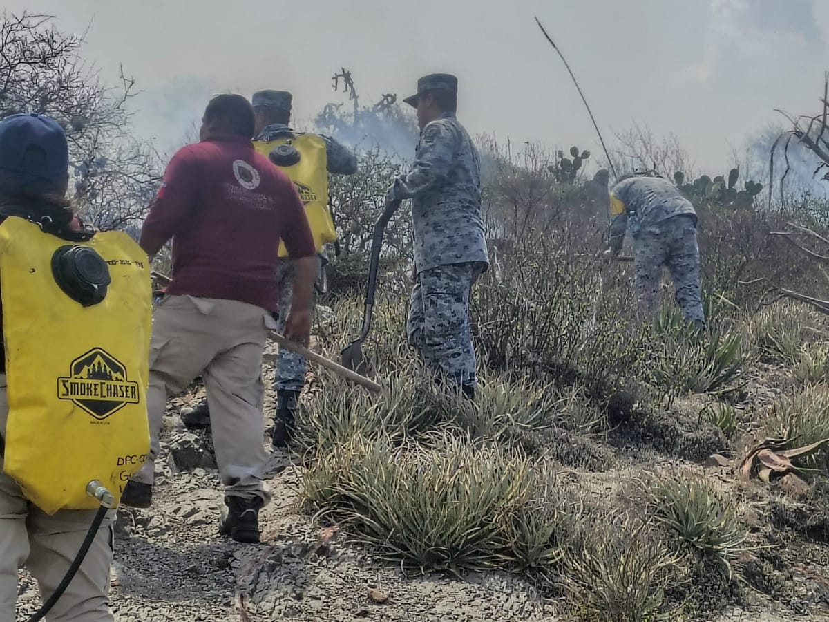 Incendio forestal consume 70 hectáreas en Actopan Post feature image
