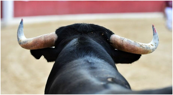 Congreso de Hidalgo amplía plazo para analizar iniciativa sobre prohibición de la tauromaquia Post feature image