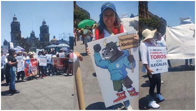 Activistas de Hidalgo protestan en el Zócalo contra corridas de toros Post feature image