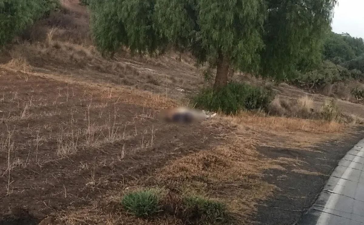 Localizan a dos personas sin vida en terrenos de cultivo en Zempoala Post feature image