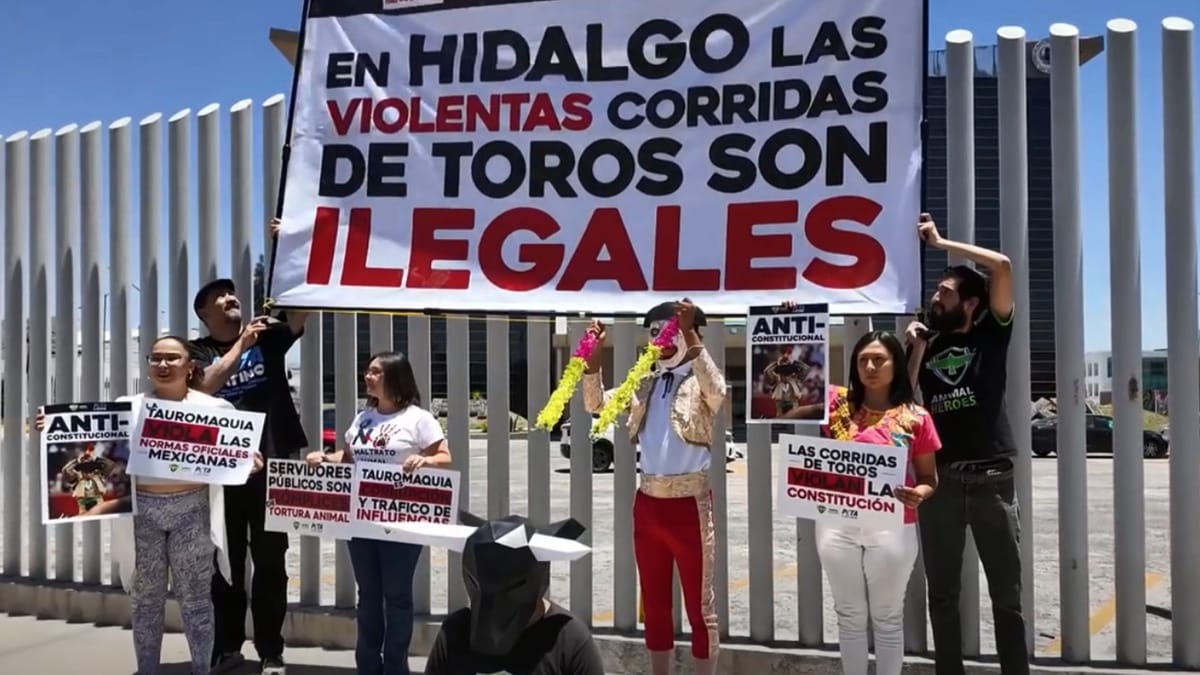 Presionan en el Congreso de Hidalgo para prohibir corridas de toros; debate sigue abierto Post feature image