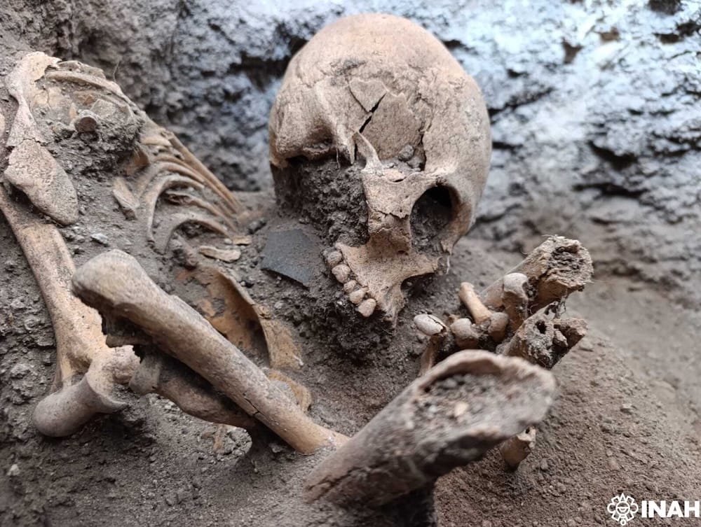 Bajo tierra, un secreto de hace 1,800 años: descubren tumbas y rituales ligados al mundo teotihuacano en Tula Post feature image