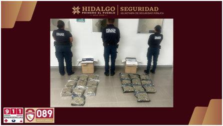 Aseguran más de 10 kilos de presunta marihuana en empresa de paquetería Post feature image
