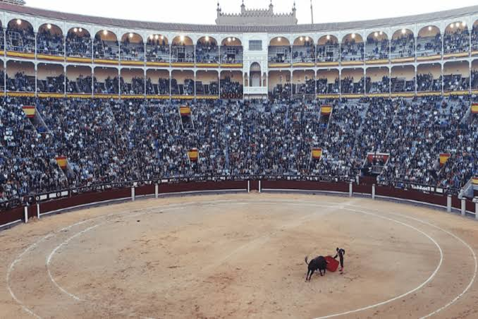 Hidalgo realizará consulta popular sobre corridas de toros el 6 de junio de 2027 Post feature image