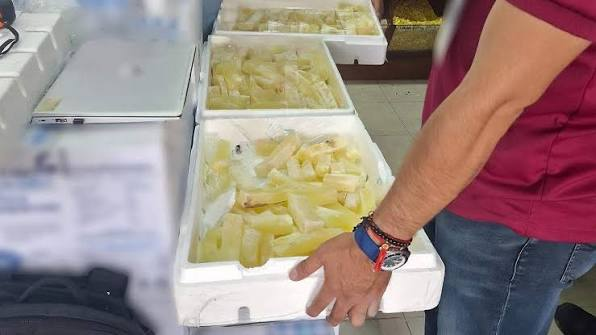 Profepa decomisa más de 24 kilos de acitrón en mercados de Pachuca Post feature image