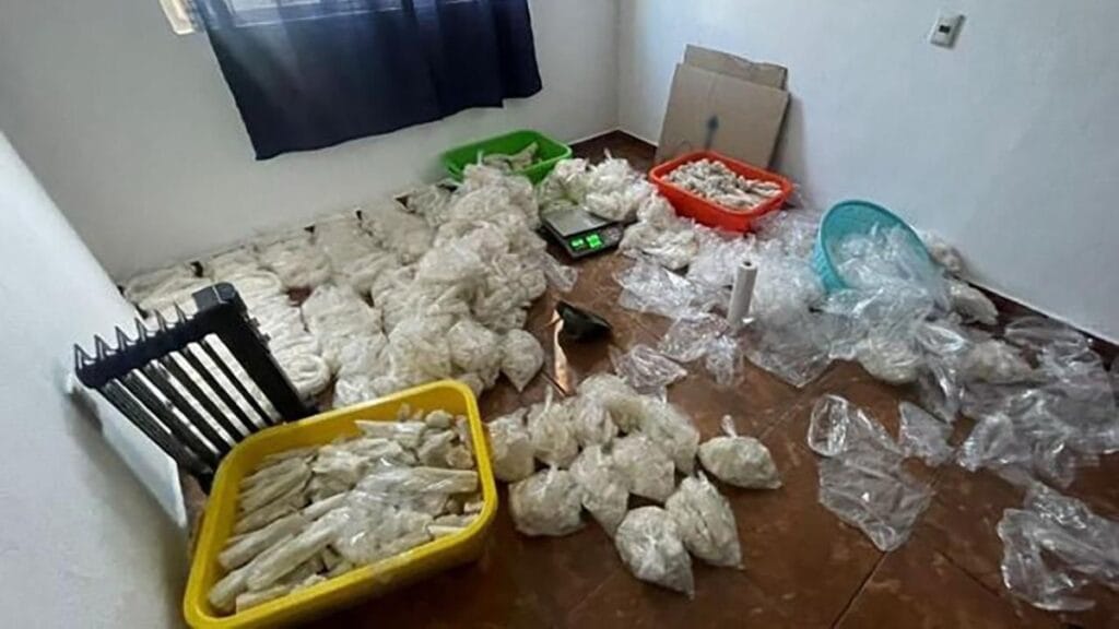 Decomisan 800 kilos de metanfetamina tras enfrentamiento en Michoacán Post feature image