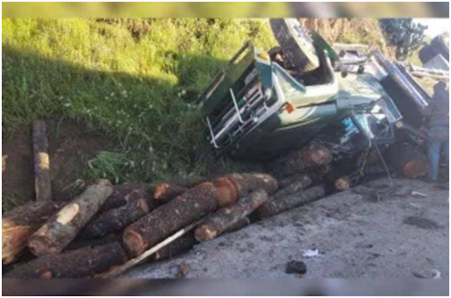 Troncos caídos provocaron volcadura de autobús, con saldo de al  menos 20 heridos Post feature image