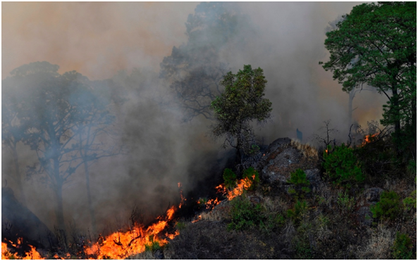 Se registran incendios en Actopan, San Salvador y Tula Post feature image