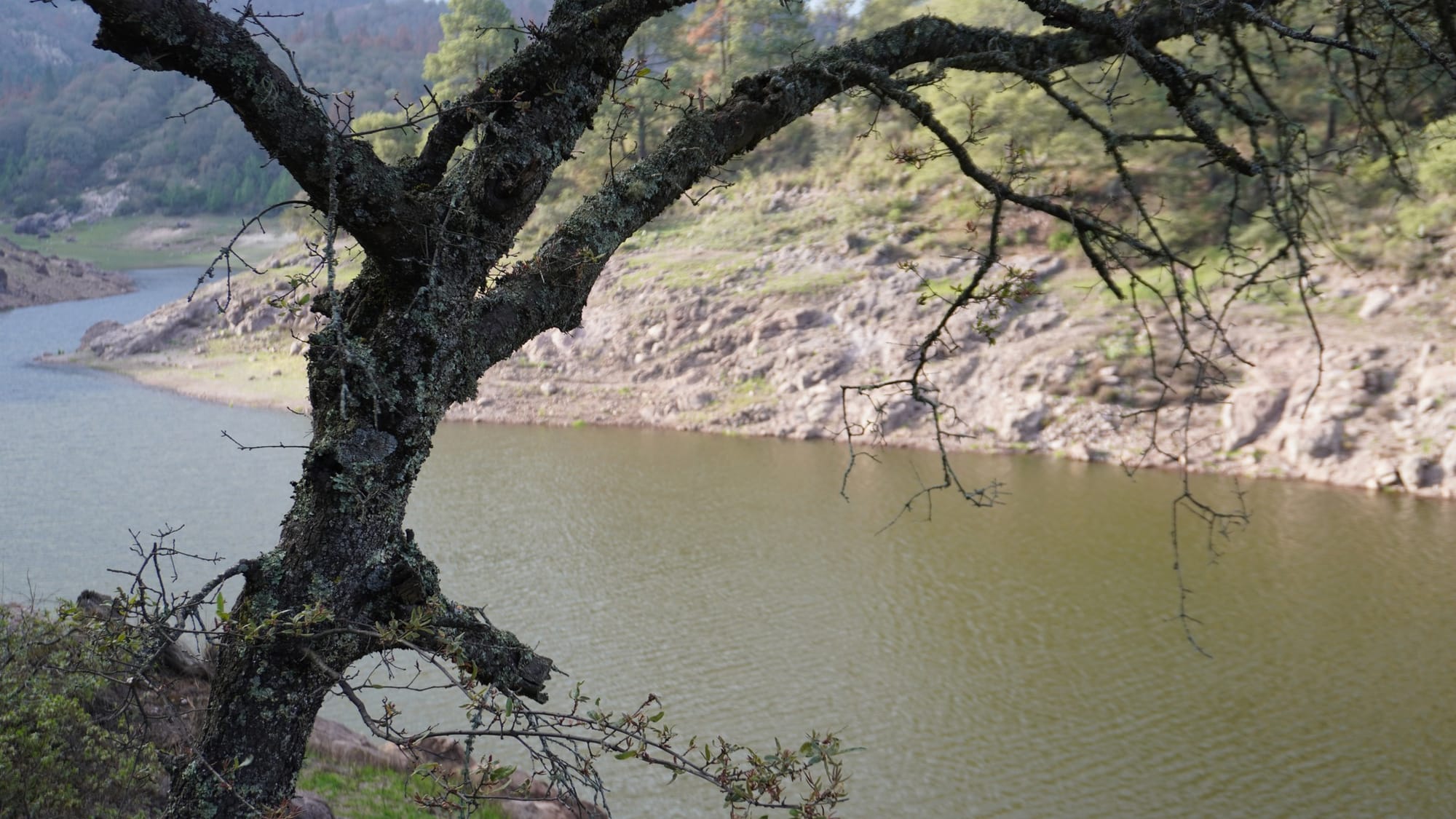 Joven pierde la vida tras ingresar a presa en Pachuca Post feature image