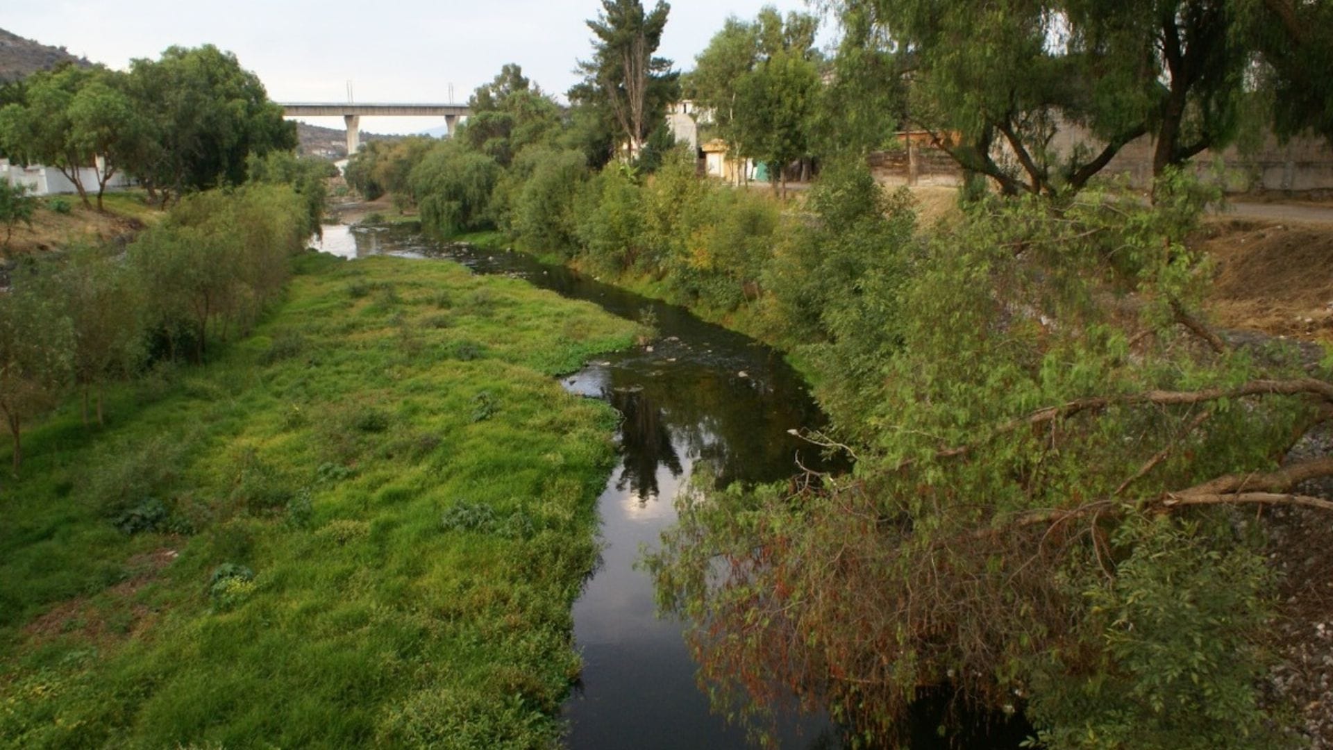 Conagua realiza monitoreo en el Río Rosas para detectar posibles niveles de contaminación Post feature image