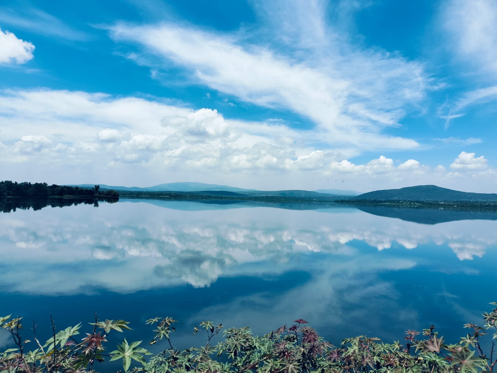 Conagua desfoga presa Requena hacia el río Tula por superar su capacidad Post feature image