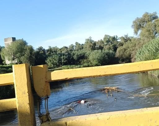 Localizan cadáver flotando en el Río Salado imagen destacada