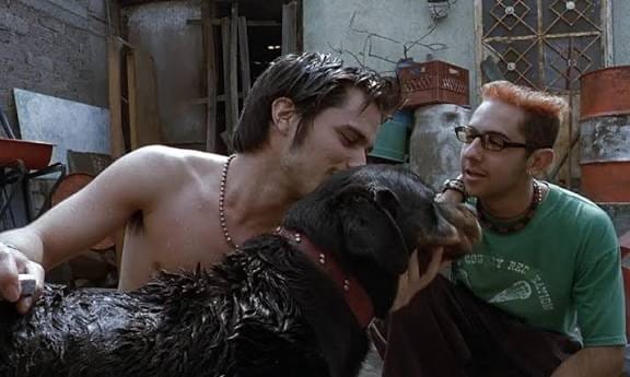 “Amores Perros” regresa a los cines para celebrar su 25 aniversario imagen destacada