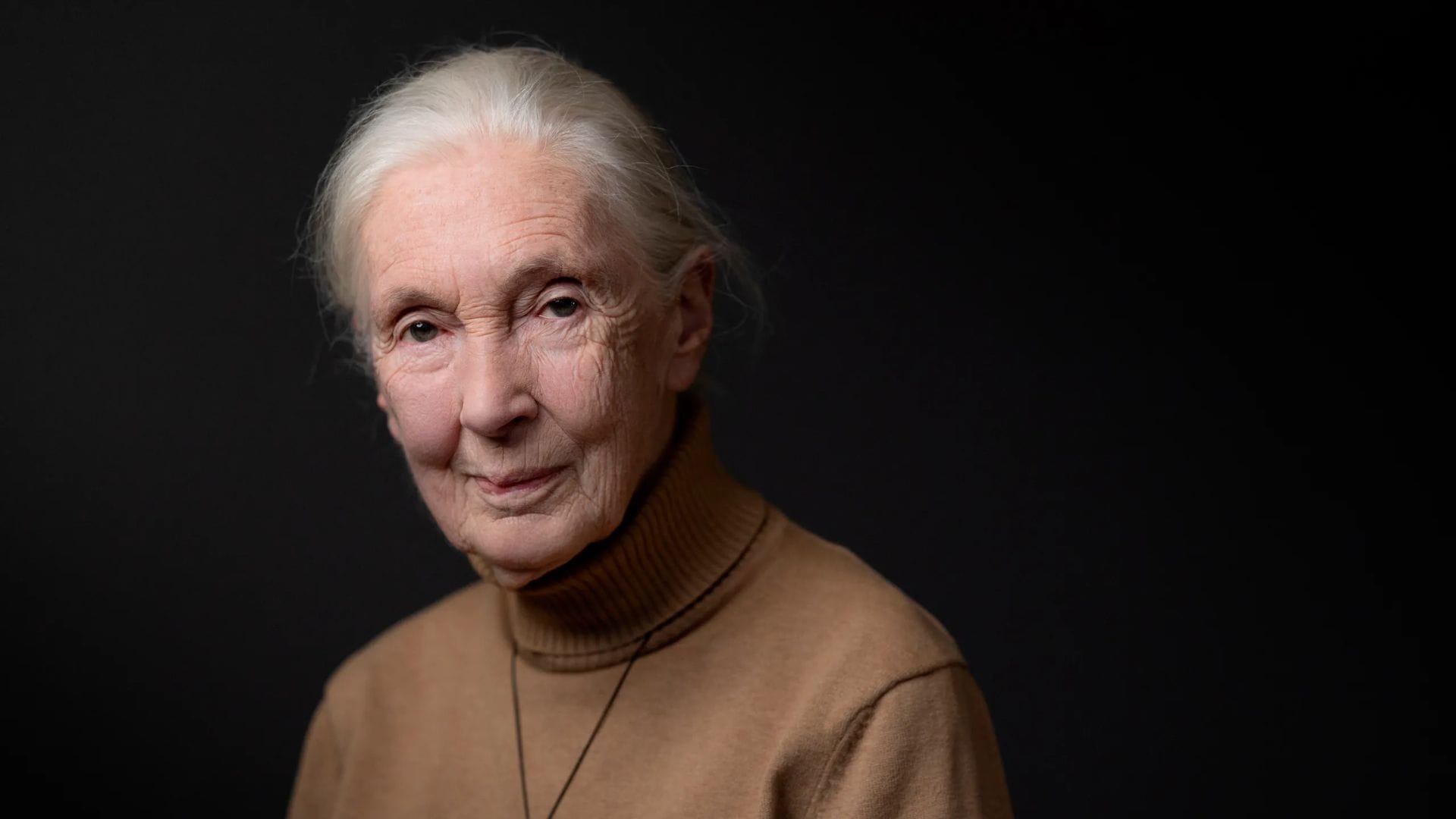 Fallece Jane Goodall, pionera en el estudio de los chimpancés, a los 91 años imagen destacada