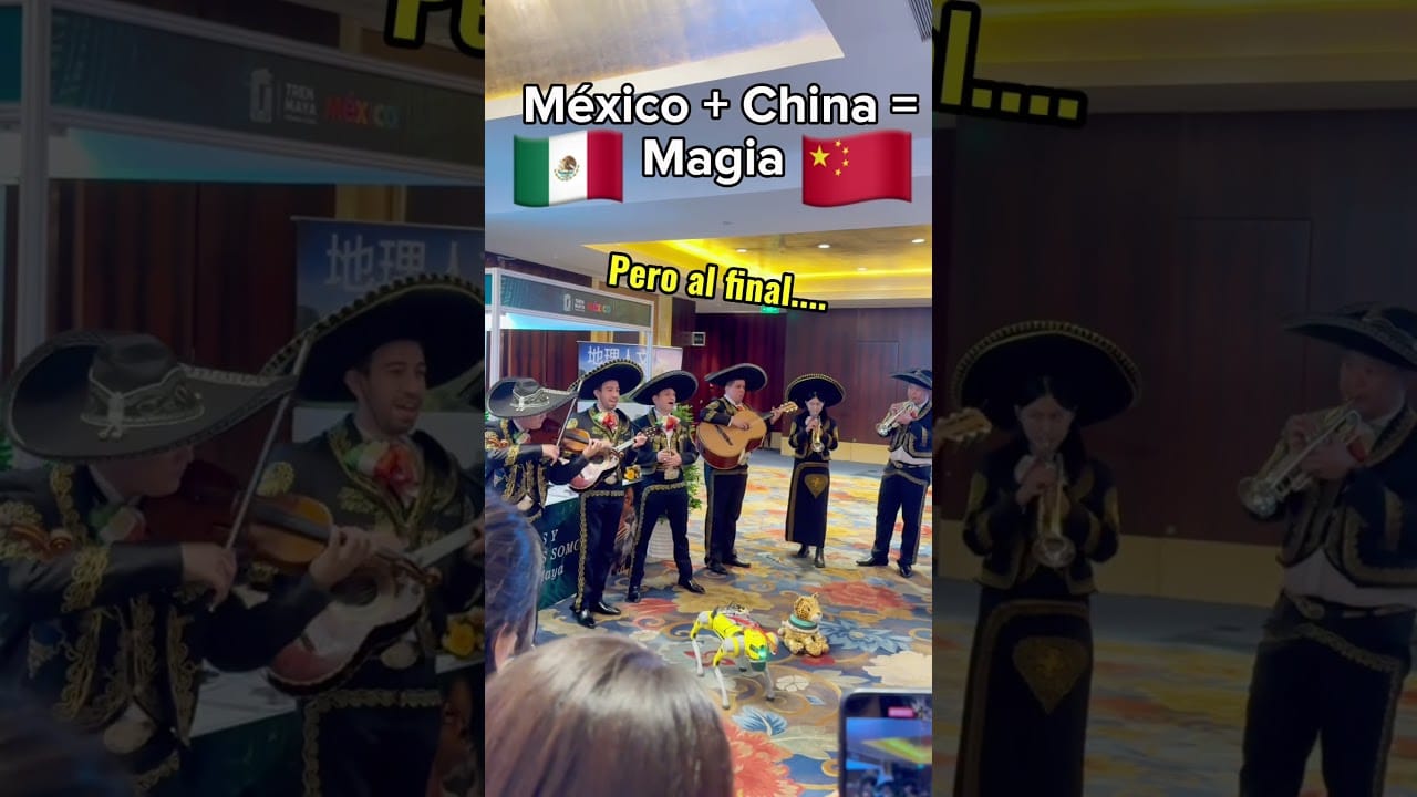 Nadie se resiste al ritmo del Mariachi imagen destacada