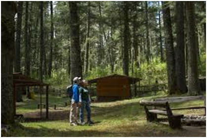 Parque Nacional El Chico permanecerá cerrado por trabajos de mantenimiento y saneamiento forestal imagen destacada