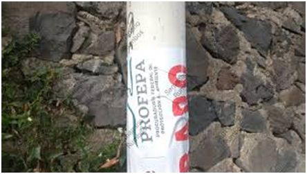 Clausuran drenaje municipal de Tepeji del Río por descargas industriales contaminantes imagen destacada