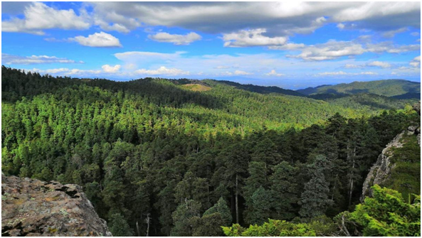 Parque Nacional El Chico y Parque Nacional Los Mármoles se declaran en alerta ante temporada de incendios imagen destacada