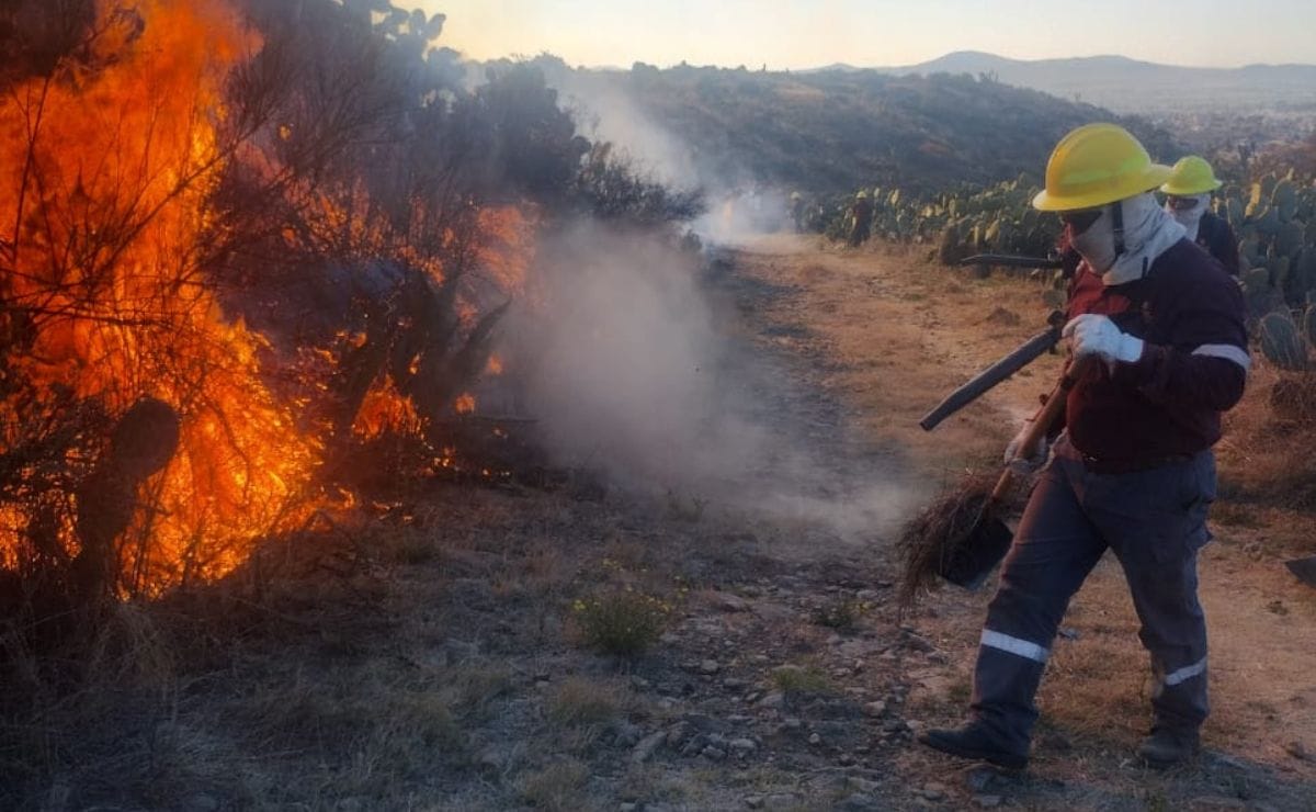 Hidalgo reporta tres incendios forestales activos imagen destacada