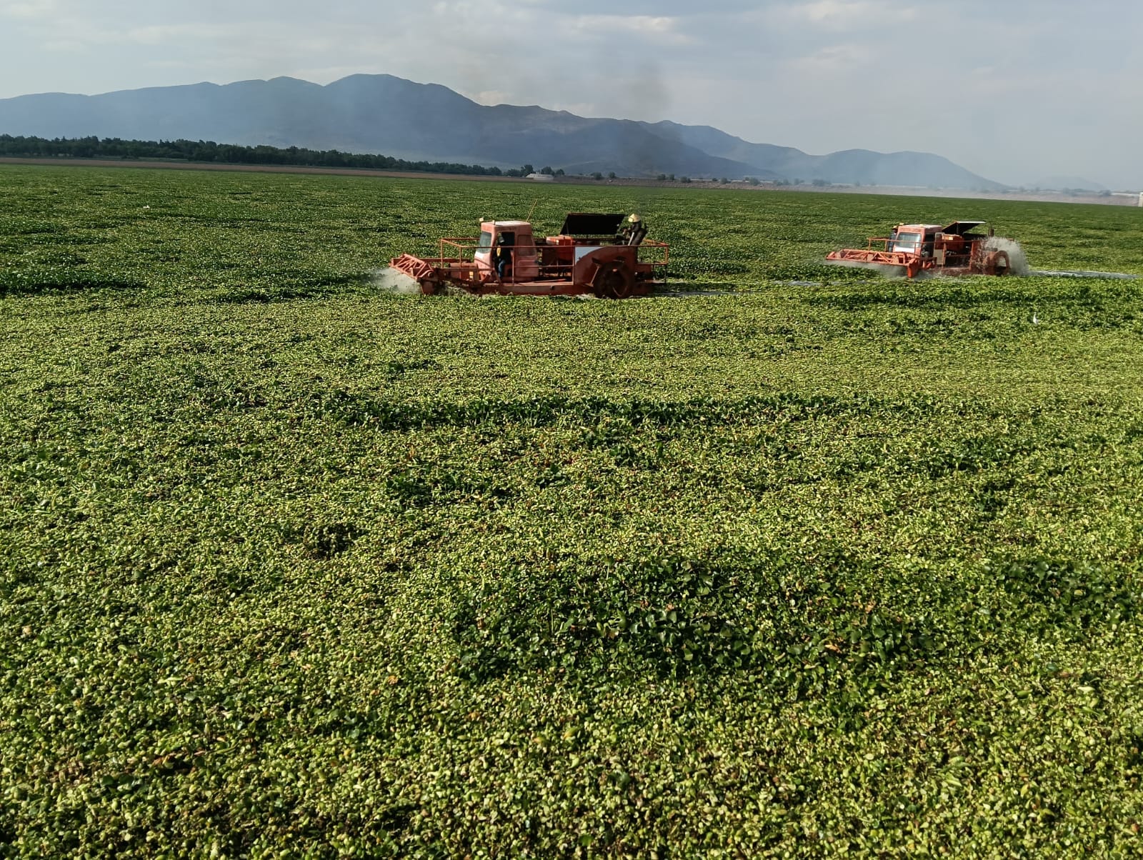 Entre la restauración ambiental y la deuda social: comunidades de la presa Endhó exigen ser prioridad imagen destacada
