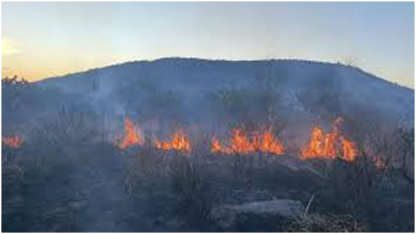 Incendios en inmediaciones de la Zona Arqueológica de Tula no dañaron patrimonio histórico imagen destacada
