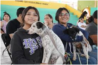 Alertan por falsos vacunadores durante campaña antirrábica en Hidalgo imagen destacada