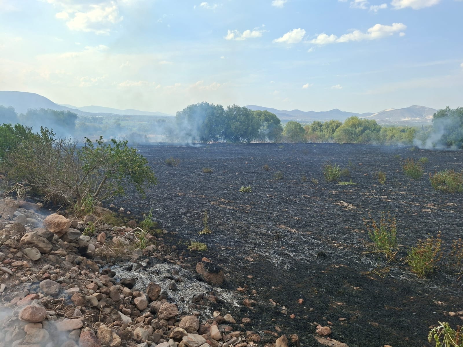 PC Mixquiahuala llama a evitar quema de pastizales tras incendios registrados imagen destacada