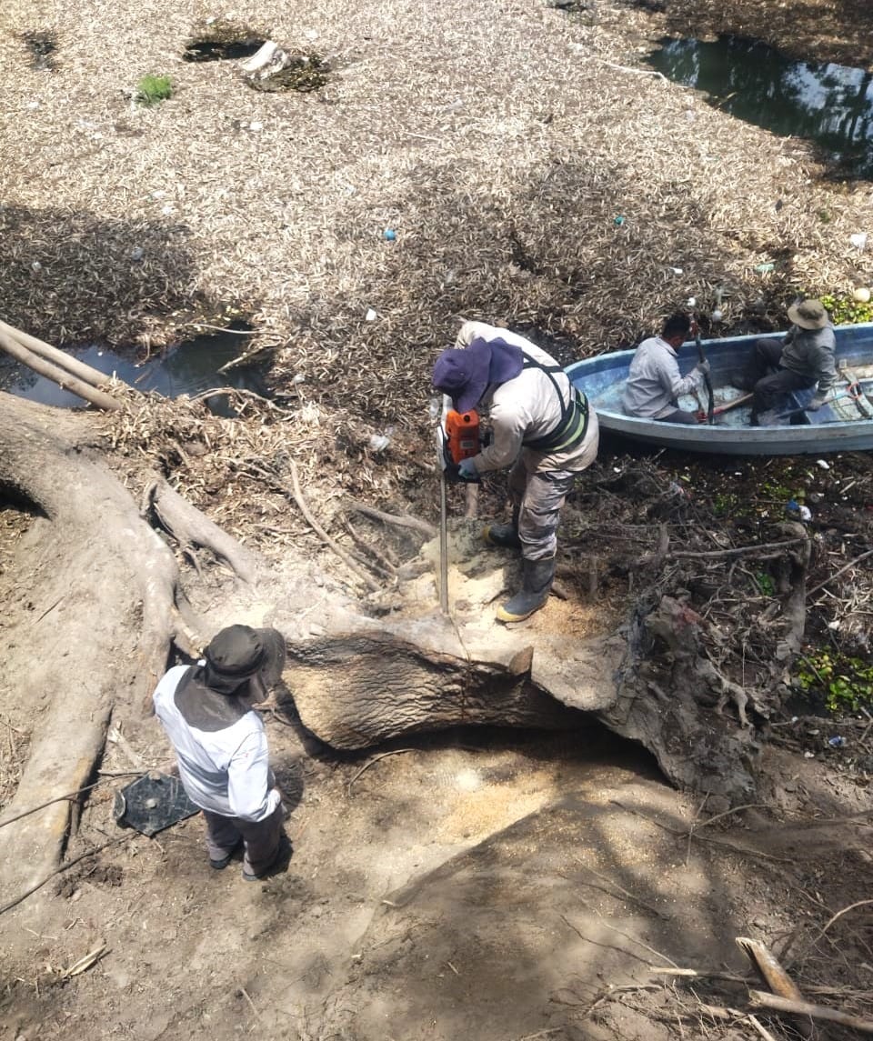 Conagua finaliza limpieza y desazolve en el río Tula previo a lluvias imagen destacada