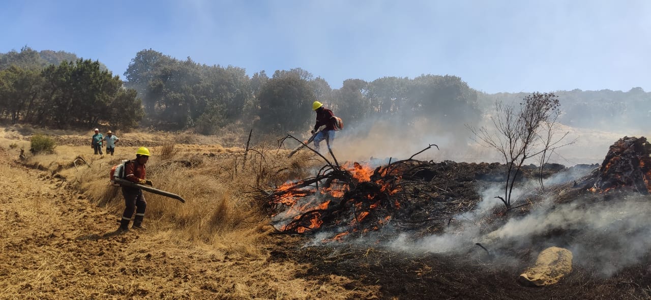 Más del 60 % de los incendios en Hidalgo son provocados por actividades humanas imagen destacada