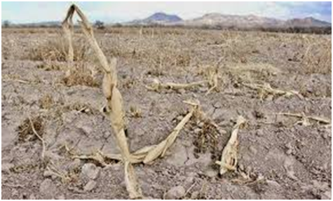 Ocho municipios de Hidalgo presentan sequedad anormal imagen destacada